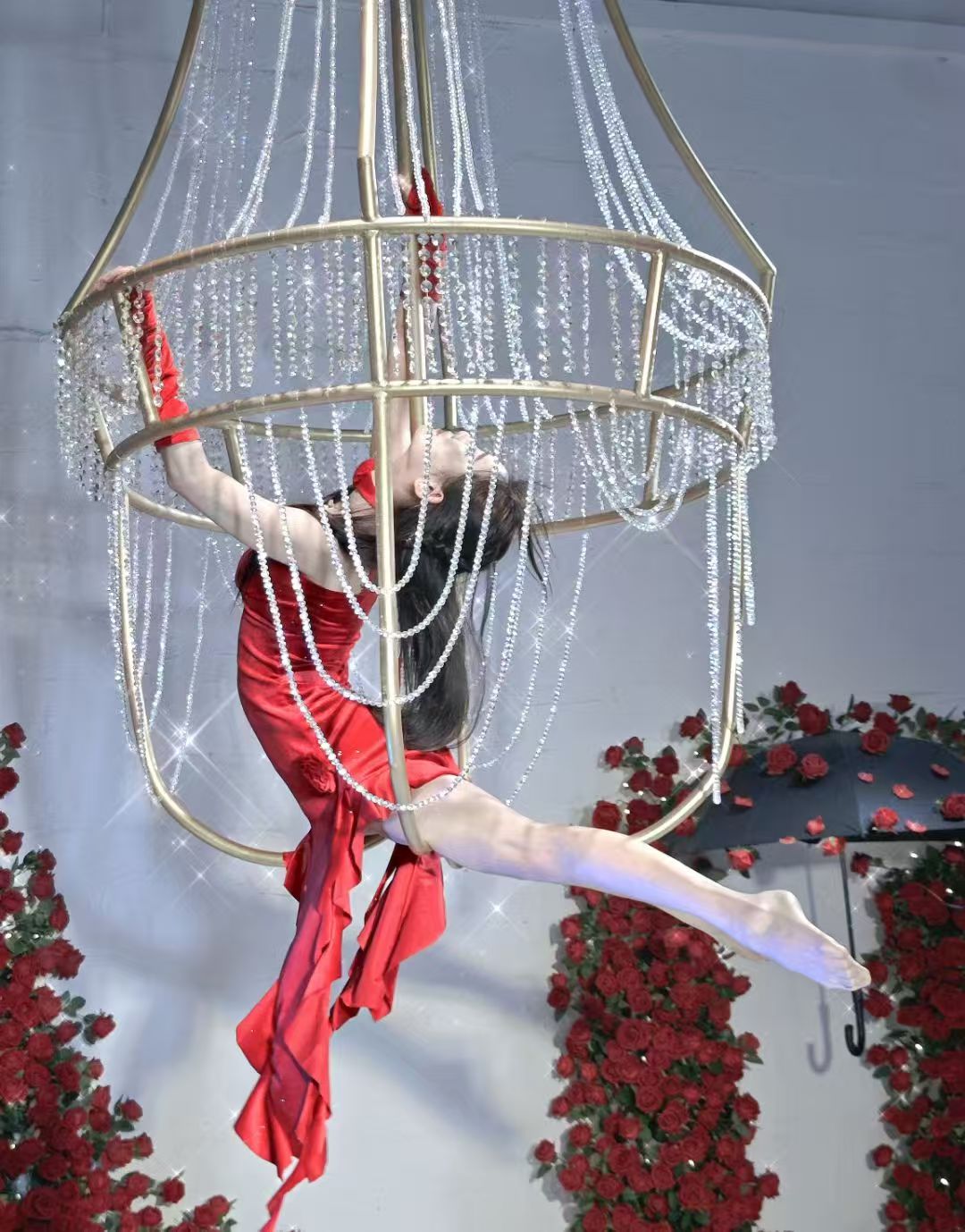 Gold Buld Aerial Hoop
