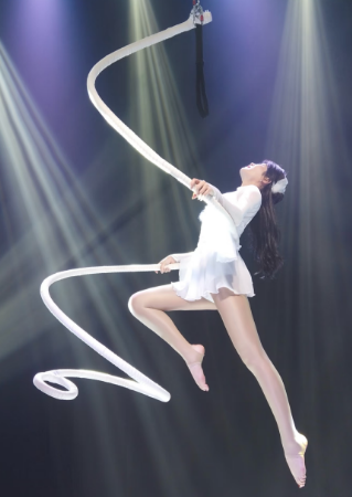 Aerial Spiral Aerial Lyra Hoop Customize Accepted